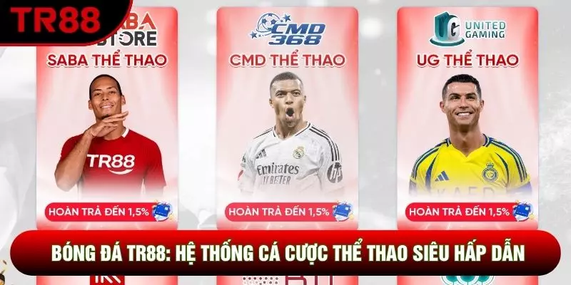 Bóng Đá TR88: Hệ Thống Cá Cược Thể Thao Siêu Hấp Dẫn
