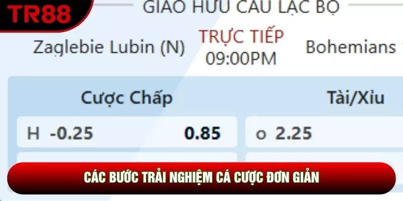 Các bước trải nghiệm cá cược đơn giản Các bước trải nghiệm cá cược đơn giản