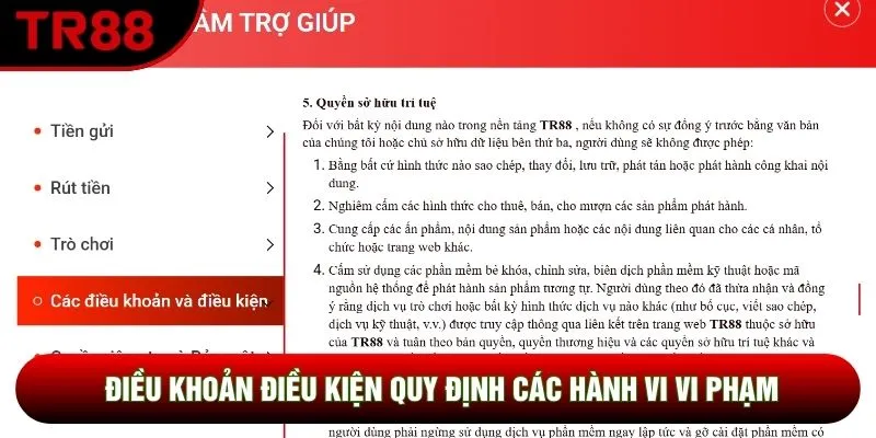 Điều khoản điều kiện quy định các hành vi vi phạm Điều khoản điều kiện quy định các hành vi vi phạm