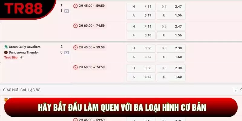 Hãy bắt đầu làm quen với ba loại hình cơ bản